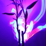 Bring the Vibes Back: How to Add Energy to Your Lifestyle and Chill Your Mind