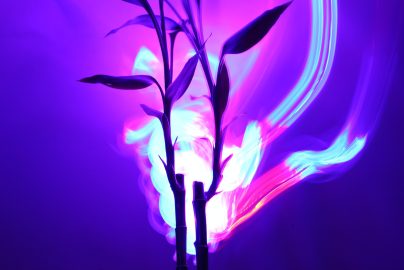 Bring the Vibes Back: How to Add Energy to Your Lifestyle and Chill Your Mind